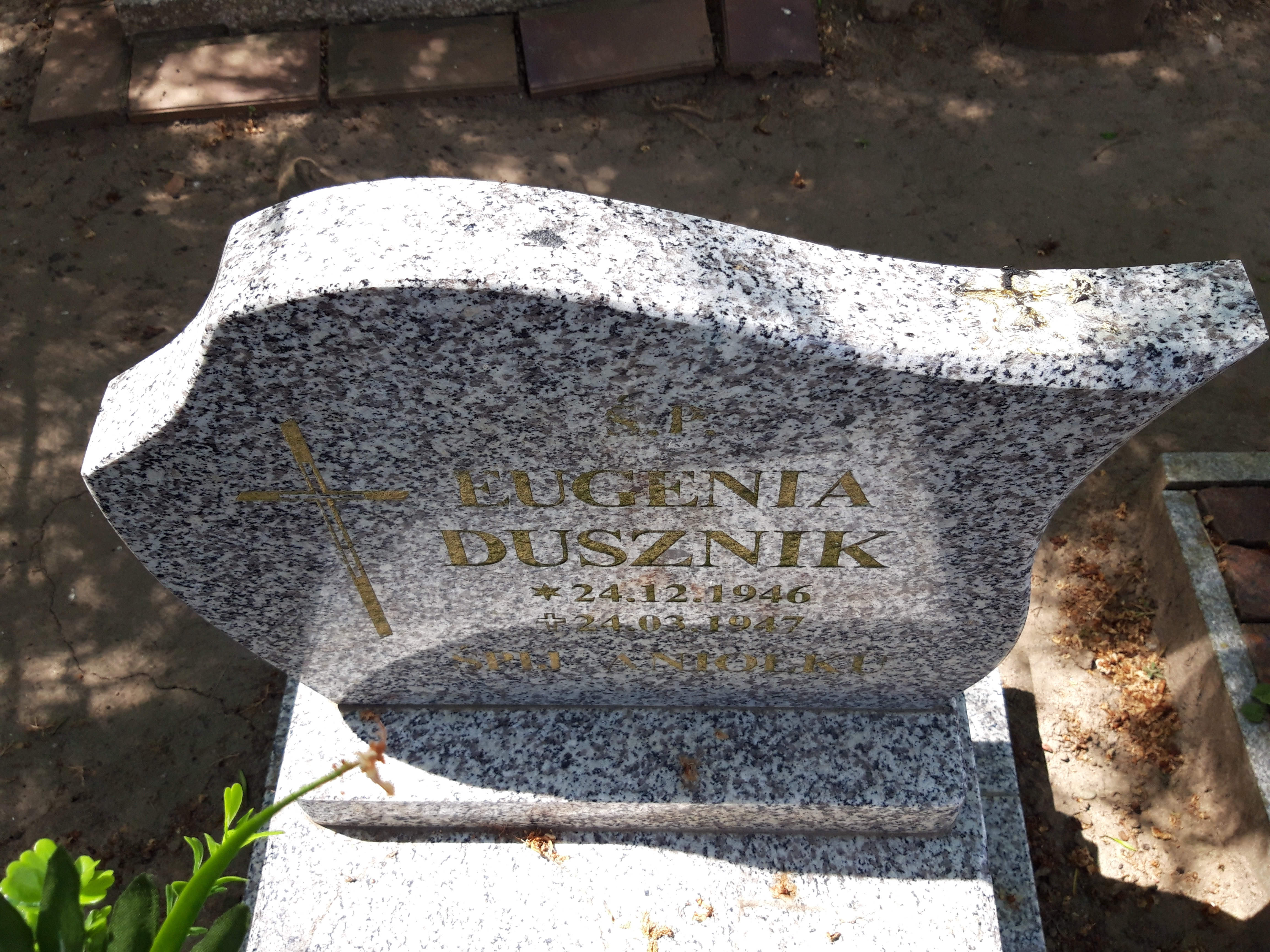 Grób EUGENIA DUSZNIK